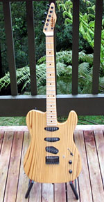 Tomkins Custom electric Tele-style guitar with Rio Grande pickups