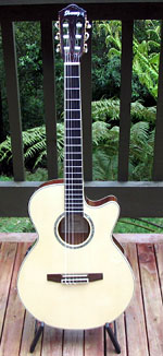 Ibanez AEG10NTNG nylon string acoustic guitar 